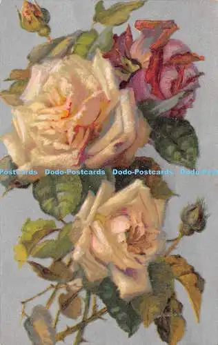 R319294 Unbekanntes Gemälde Rosen Serie Nr. 508 Stewart und Woolf