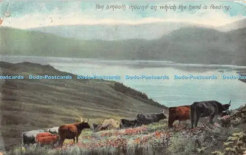 R321097 Yon Glatthügel auf dem sich die Herde ernährt F Hartmann Rural Serie G