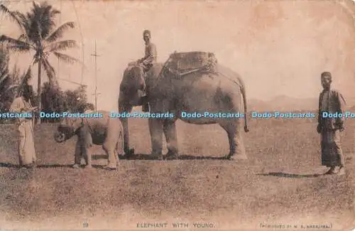 R321178 Elefant mit jungen M S Nakajima Postkarte