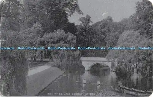 R321189 Cambridge Trinity College Bridge Alumino Palatine Serie