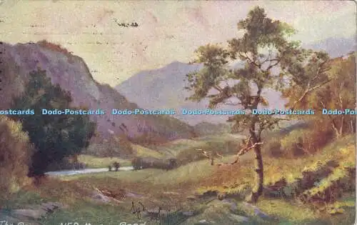 R319796 Natur Berg und Bäume C W Faulkner Serie Nr 427 E 1905