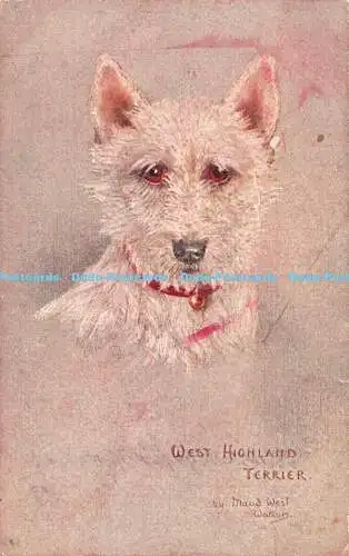 R323236 West Highland Terrier Maud West Watson Tuck Oilette Nr. 9681 Skizzen von