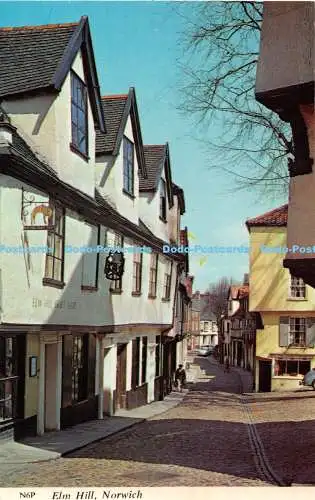 R321616 Norwich Elm Hill Harvey Barton
