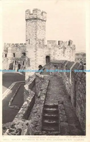 R324169 Schloss Carnarvon 11 Mauerwege zwischen schwarzen und Chamberlain-Türmen H M