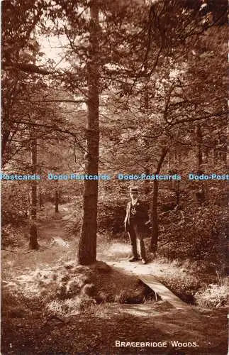 R324579 Bragebridge Woods 1 Frank Bennett 1913