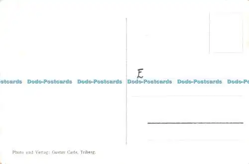 R324812 Triberg SchwarzwaldT 23 Foto und Verlag Gustav Carle