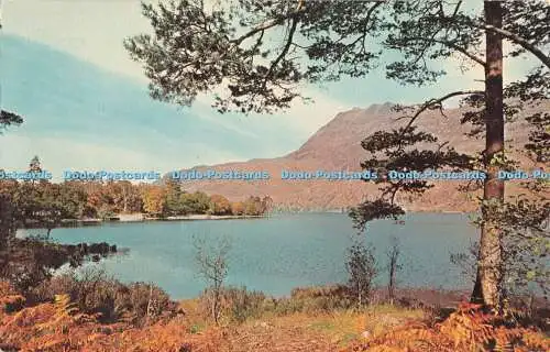 R326602 Scotland Loch Maree Ross and Cromarty K G Govan N P O fotocolor 1966