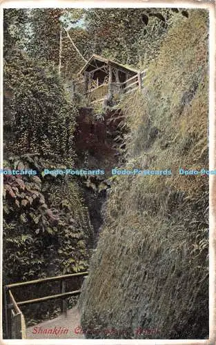 R325209 Shanklin Chine Isle of Wight The Ideal Series 1911