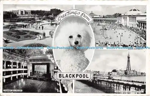 R328301 Grüße aus Blackpool 560 B Postkarte 1960