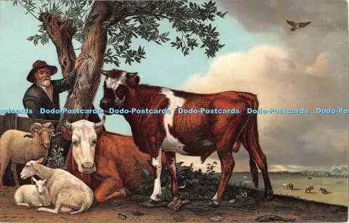 R328333 The Young Bull Potter Den Haag Misch and Cos World Galleries Serie Nr