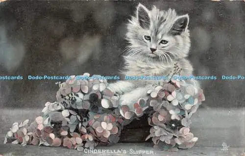 R328369 Aschenputtel Slipper Animal Life Raphael Tuck and Sons Photochrome Post C