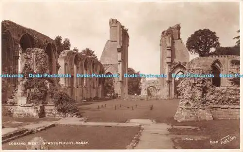 R328433 Looking West Glastonbury Abbey S 511 Walter Scott RP