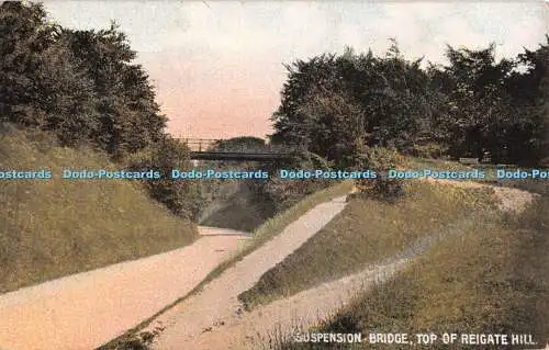 R329936 Hängebrücke oben auf Reigate Hill M und W Canon Serie B 17 1905