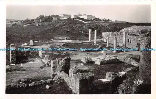 R330038 Carthage Villas Romaines Maison de la Mosaique a la Voliere C A P RP