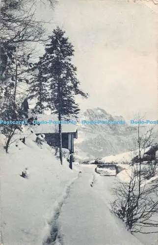 R328653 Wintersport Engelberg Am Professorenweg 01212 Verlag R Hess Buchhandlung