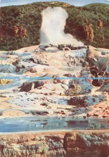 R330257 Neuseeland Rotorua Waikite Geysir Our Glorious Empire Godfrey Phillips