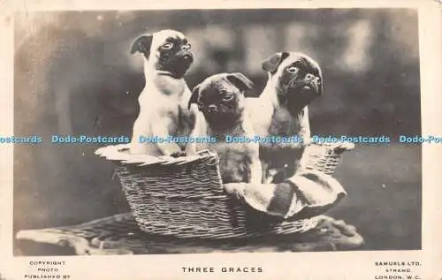 R326053 Drei Grazien Samuels Postkarte 1930