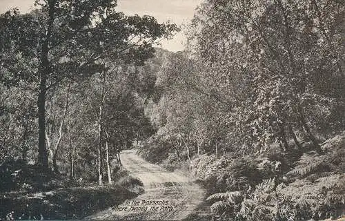 PC66323 In den Trossachs, wo sich der Weg zwirnt. Valentine