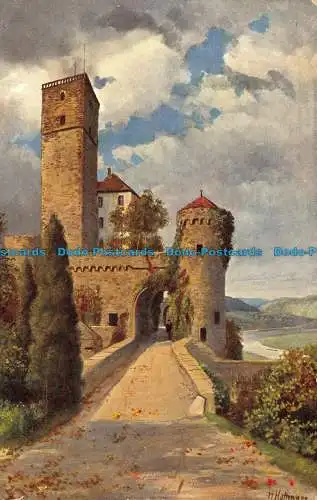 R105171 Schloss Guttenberg am Neckar. Edm. von König. H. Hoffmann. Nr. 741