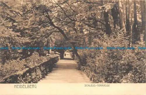 R105853 Heidelberg. Schlossterrasse