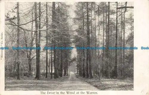 R106611 The Drive in the Wood am Warren. 1903