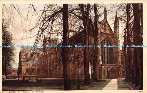 R329304 Winchester Cathedral and Avenue Photochrom