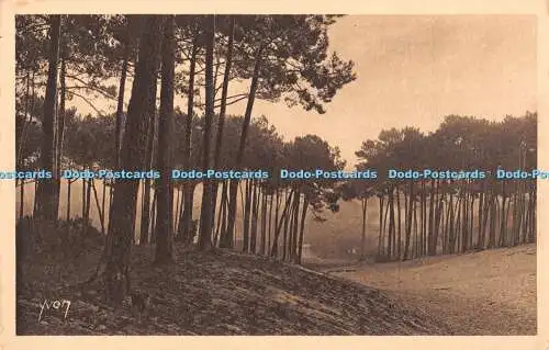 R329394 La Douce France Les Charmes de la Cote D Argent Mer Et Foret Arcachon Le