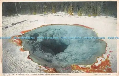 R329556 Yellowstone Park The Morning Glory Upper Geyser Basin Detroit Publishing