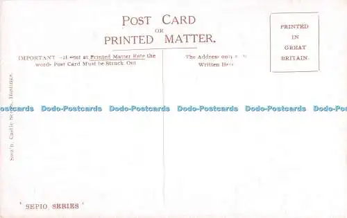 R329756 Rye Land Gate Swain Castle Serie Sepio Serie