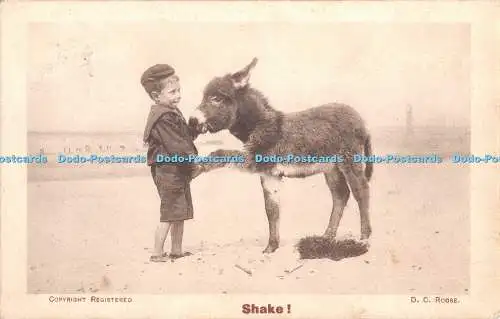 R333000 Shake Donkey D C Roose 1906