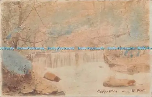 R329793 The Bury Carr Wood Postkarte