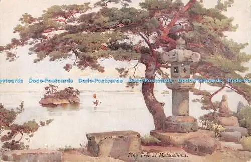 R333037 Pine Tree at Matsushima Japan Series No 34 From Flowers and Gardens of J