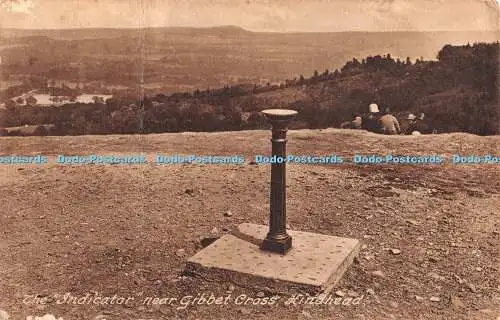 R331508 The Indicator near Gibbet Cross Hindhead W Rollason No 79547A 1931 Frith