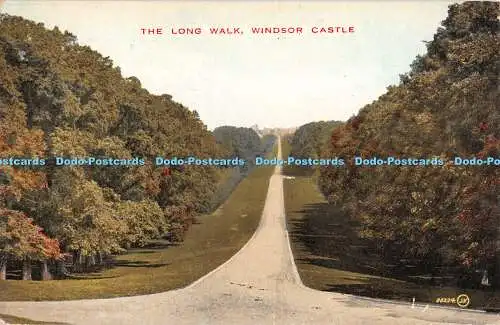 R331926 The Long Walk Windsor Castle 06224 V und S D Colourtone Serie 1929