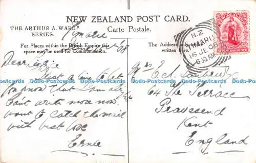 R334219 Timaru N Z Caroline Bay On the Cliffs The Arthur A Ware Series 1908