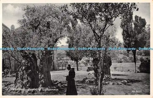 R338915 Jerusalem Garden of Gethsemane L and L C No 3025