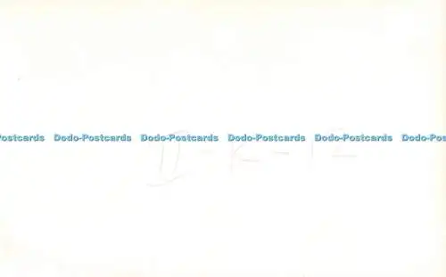 R337508 Elefant Postkarte