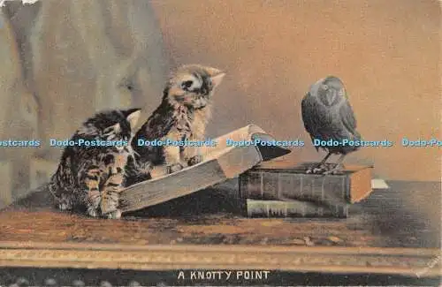 R339577 A Knotty Point J Beagles and Co 2121 1910