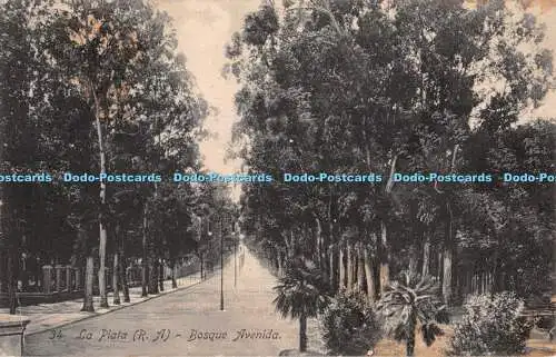 R341090 La Pata R A Bosque Avenida Vda de Beneforti