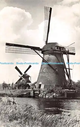 R337736 Hollands Molenlandschap D R C 1954