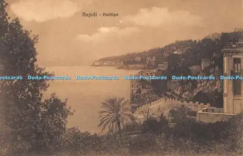 R341556 Napoli Posillipo R Zedda Postkarte