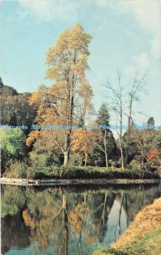 R340157 Wiltshire Stourhead Park W H S 4703 Plastichrome 1966