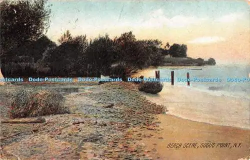 R341832 N Y Sodus Point Strandszene The Photograph Co