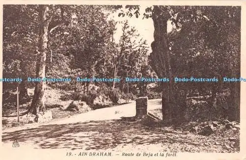 R346054 Ain Draham Route de Beja et la foret Foto Africaines