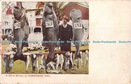 R341914 Cal A Days Sport at Coronado M Rieder No 675