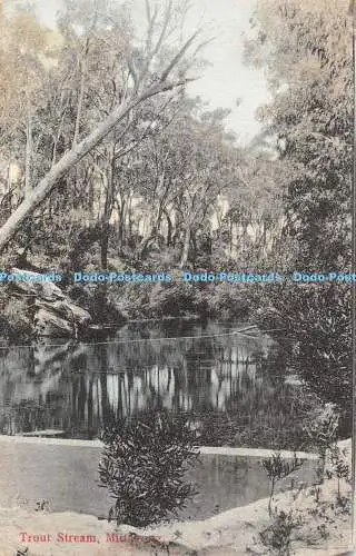 R343311 Trout Stream Mittagong H Binns 1909