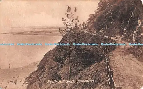 R344577 Minehead North Hill Walk Valentine Serie 1920