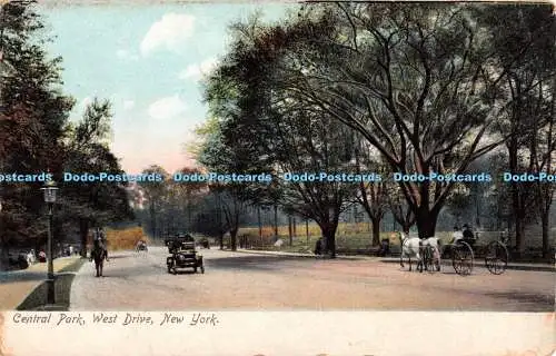 R346455 New York Central Park West Drive Illustrated Postal Card Co