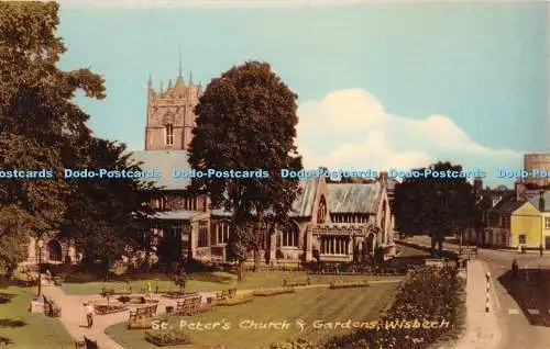 R343736 Peterskirche und Gärten Wisbech H Coates