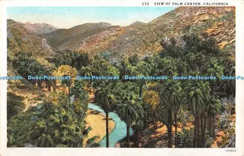 R346623 California View of Palm Canyon Western Publishing and Novelty Co